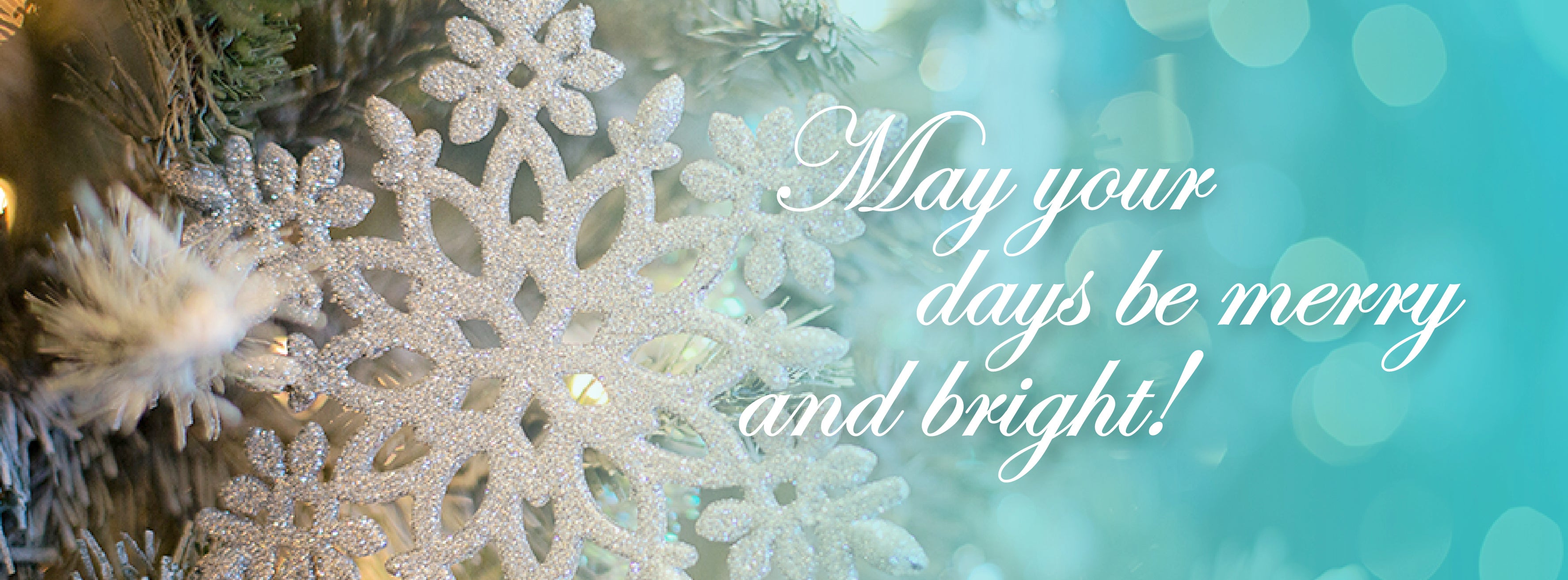 May your days be merry and bright!
